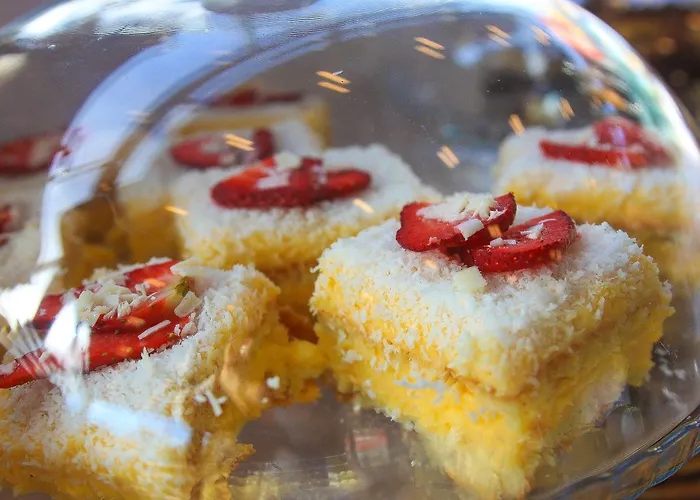 وشقق بريموس فندق فيينا